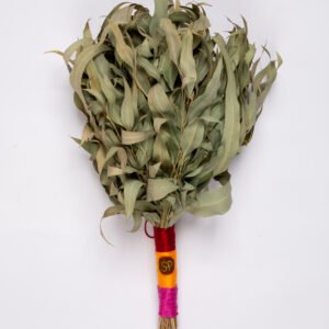 צ'אקאפה מעלי אקליפטוס