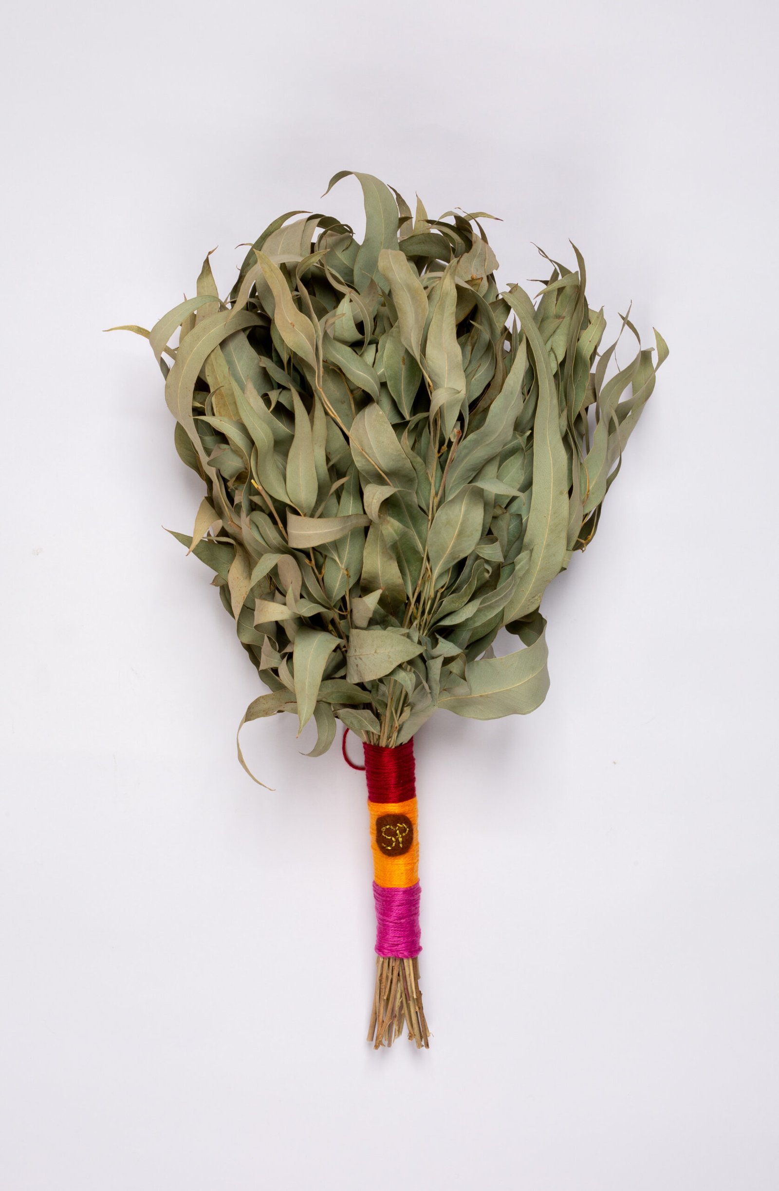 צ'אקאפה מעלי אקליפטוס