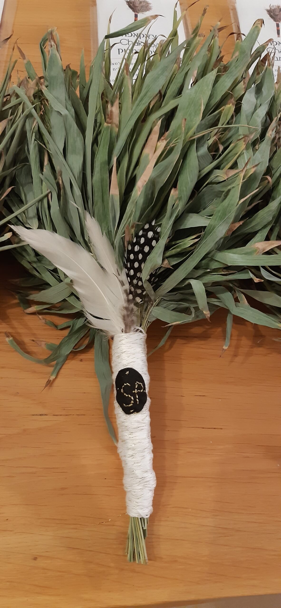 צ'אקאפה מעלי במבוק – תמונה 4