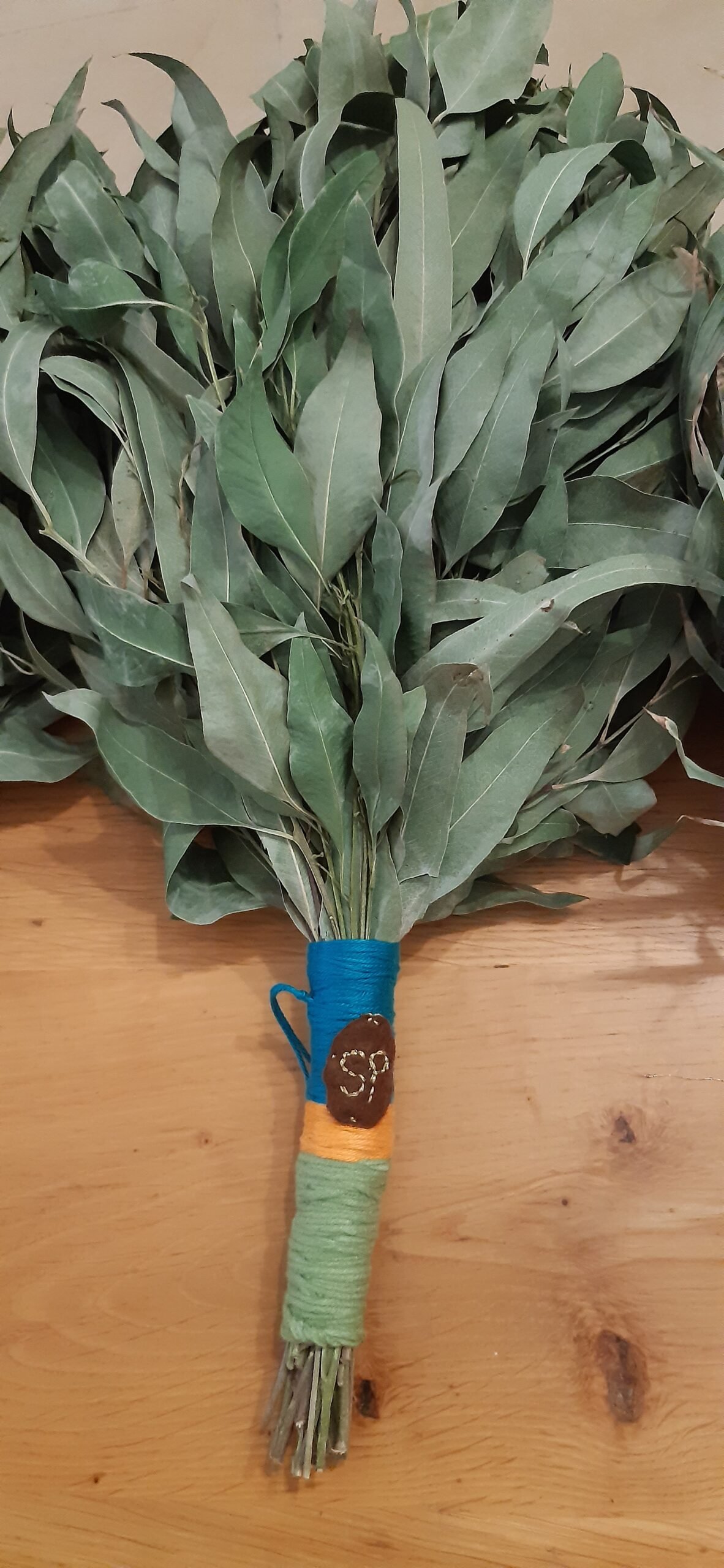 צ'אקאפה מעלי אקליפטוס – תמונה 7