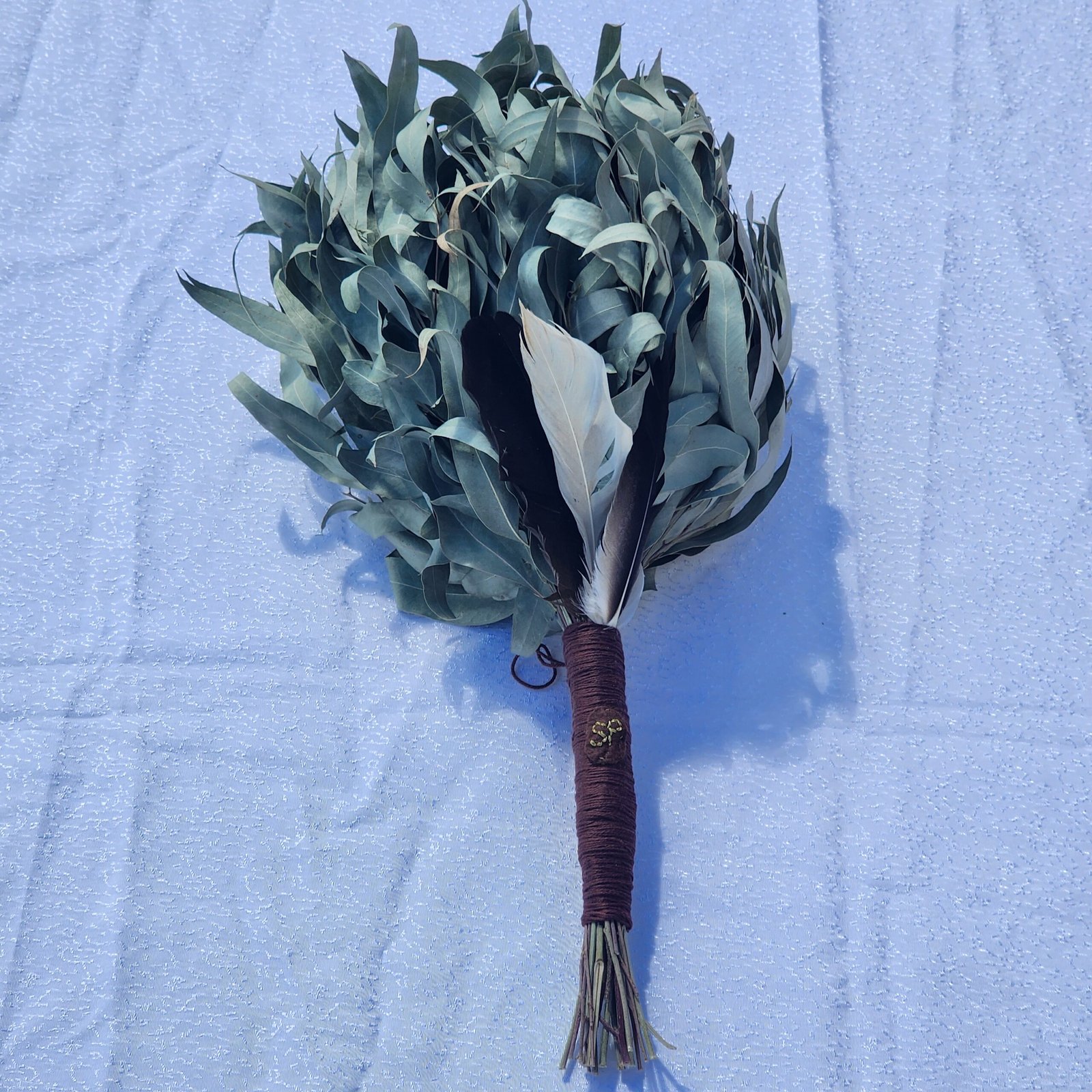 צ'אקאפה מעלי אקליפטוס – תמונה 3