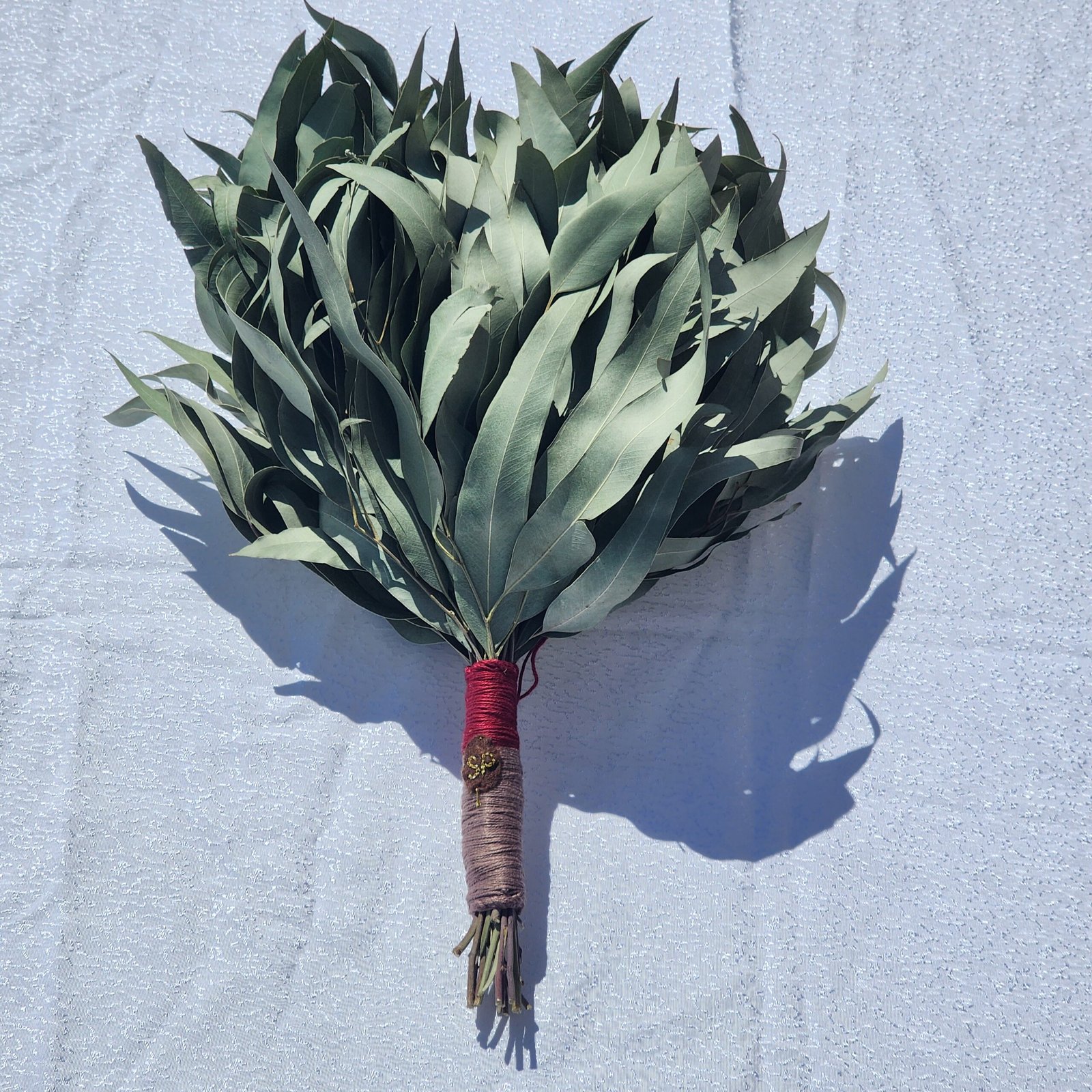 צ'אקאפה מעלי אקליפטוס – תמונה 5