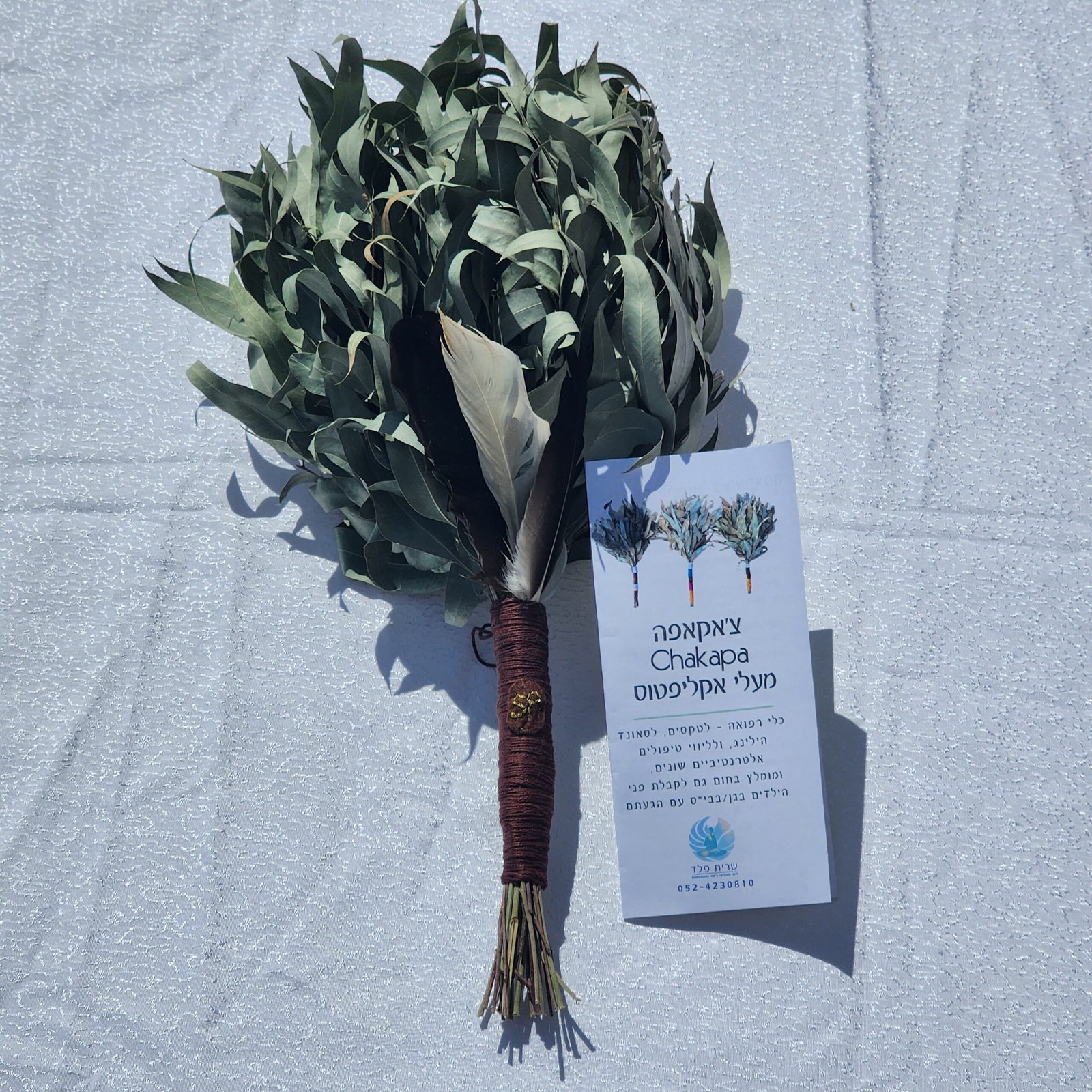 צ'אקאפה מעלי אקליפטוס – תמונה 2