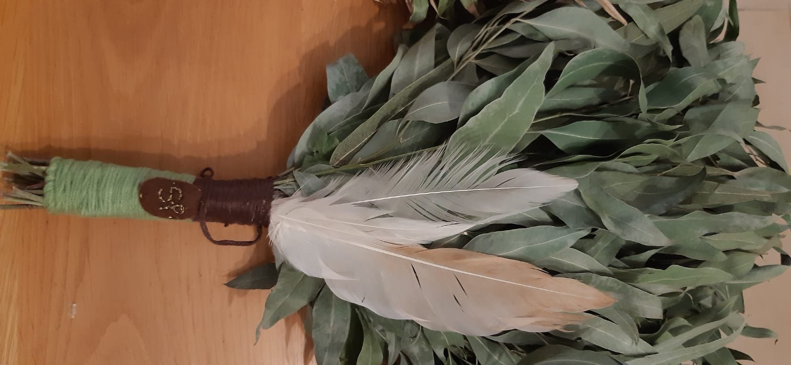 צ'אקאפה מעלי אקליפטוס – תמונה 6