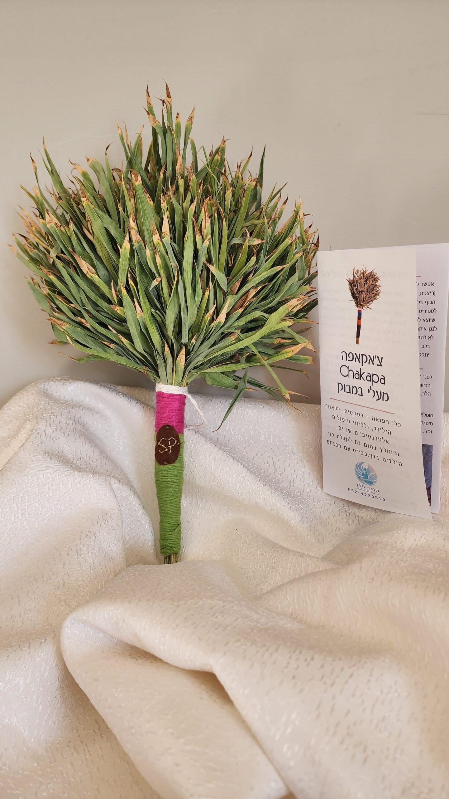 צ'אקאפה מעלי במבוק